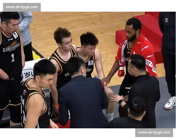 辽宁对阵贵州的焦点战解析赛场形势与关键球员表现全解读 辽宁对阵贵州的焦点战解析赛场形势与关键球员表现全解读